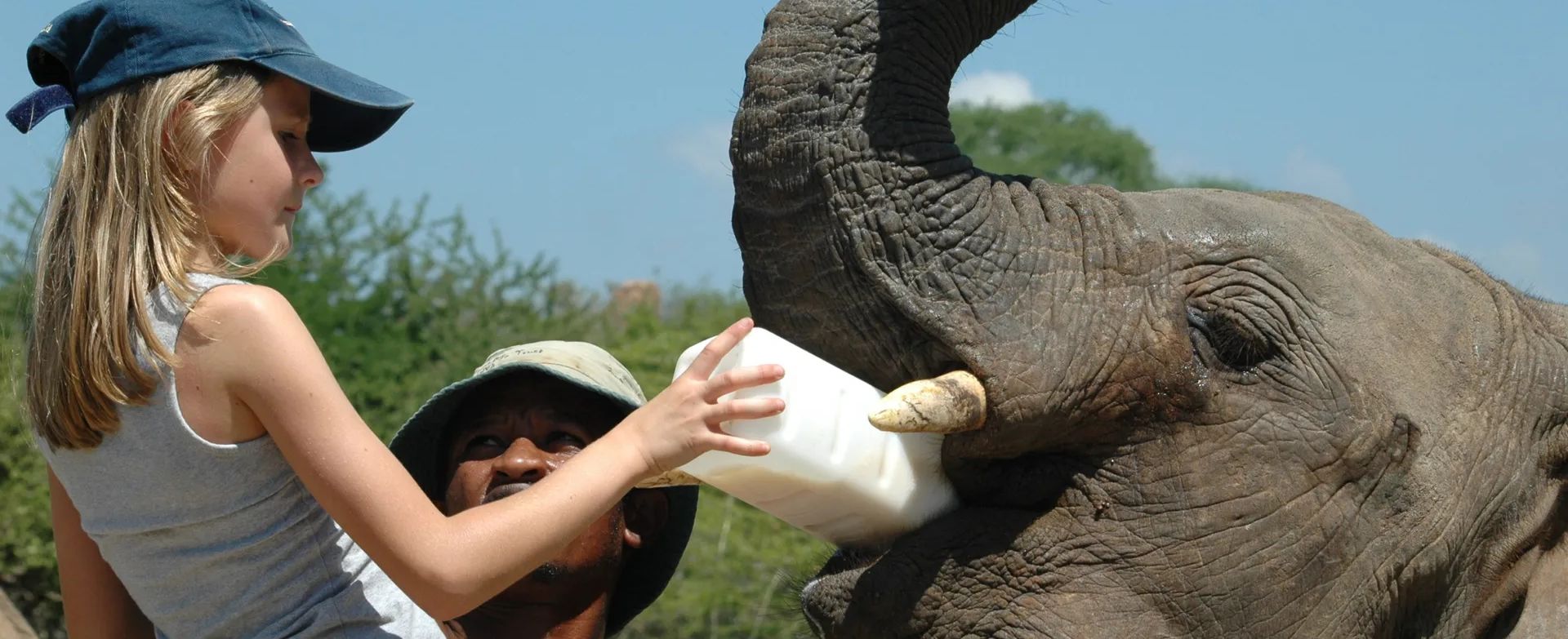 stramt Uafhængighed gå på indkøb Elefanten - Afrikas Horisonter
